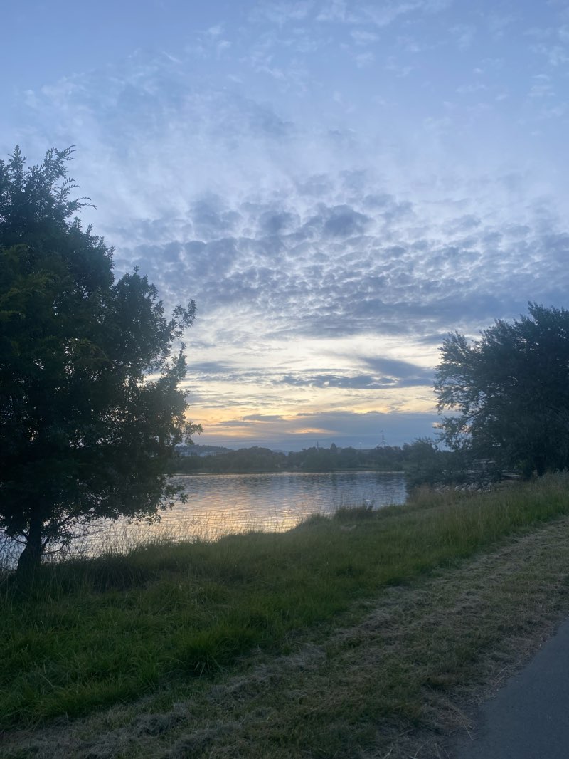 walking near me in Grevillea District Park in summer