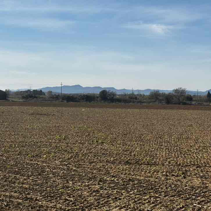 Los paseantes Antoni🇪🇸🇪🇸🏃‍♂️‍➡️🏃🏻‍♂️‍➡️🏃‍♂️‍➡️🏃🏻‍♂️‍➡️ post image