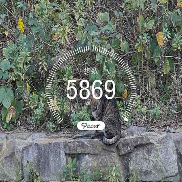 kenta🇯🇵 post 1