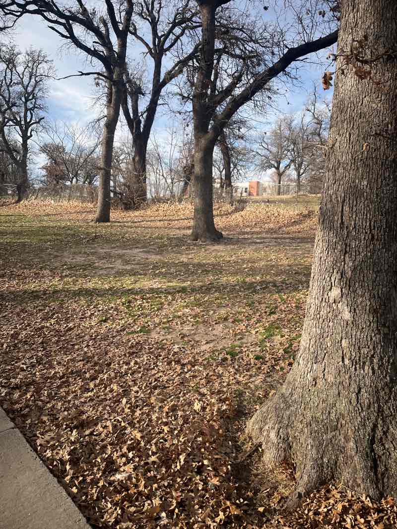 walking near me in Eldon Lyon Park in winter