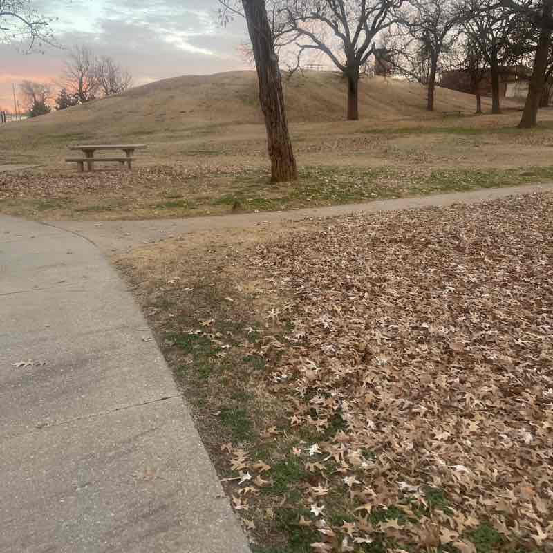 Sharoya Minnis post 2