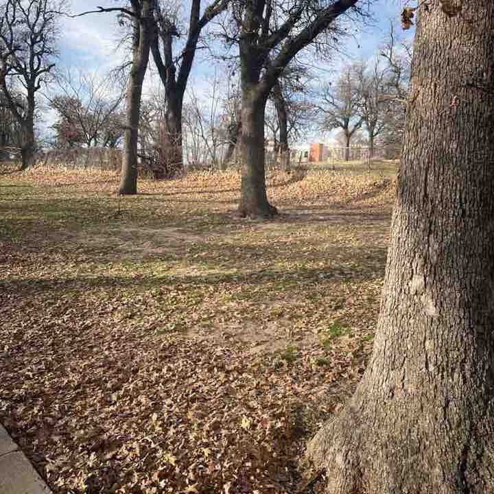 Sharoya Minnis post 2