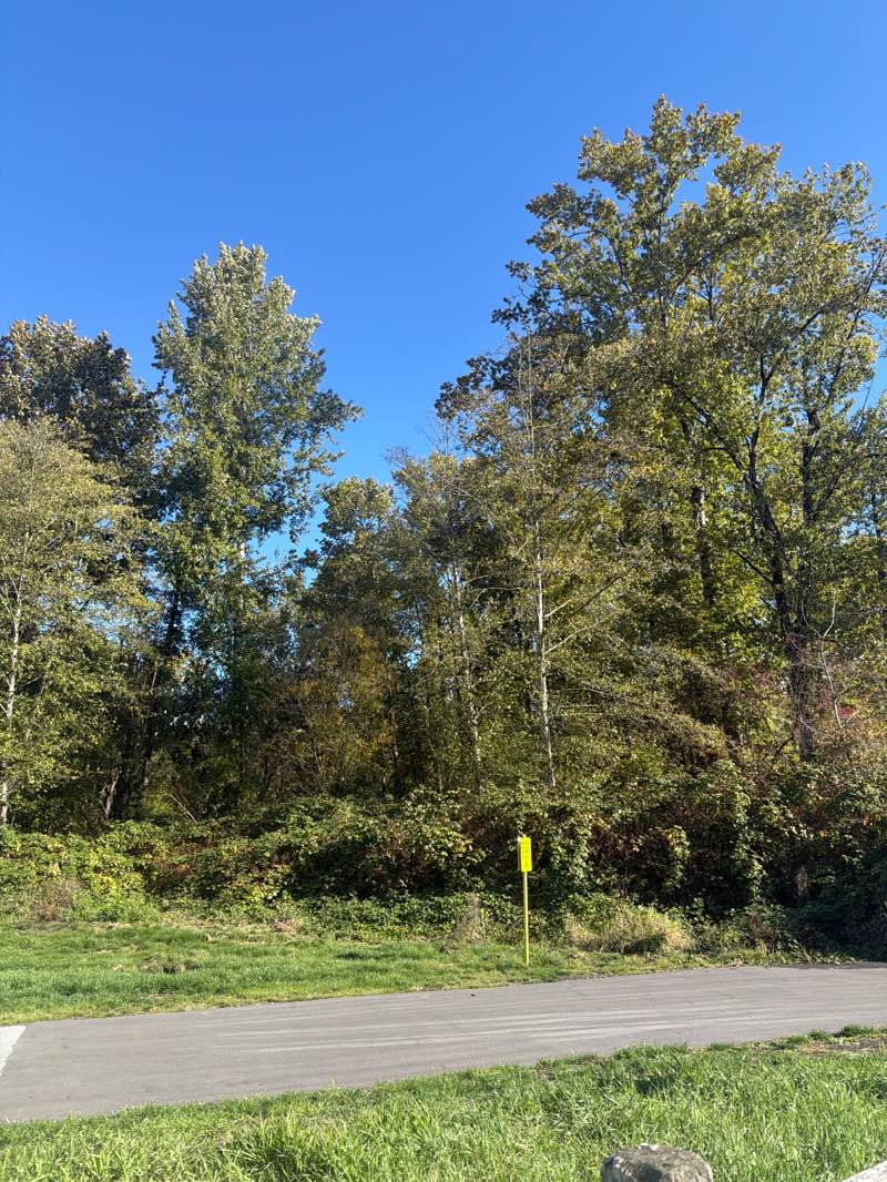 walking near me in Hawthorne Rotary Park in autumn