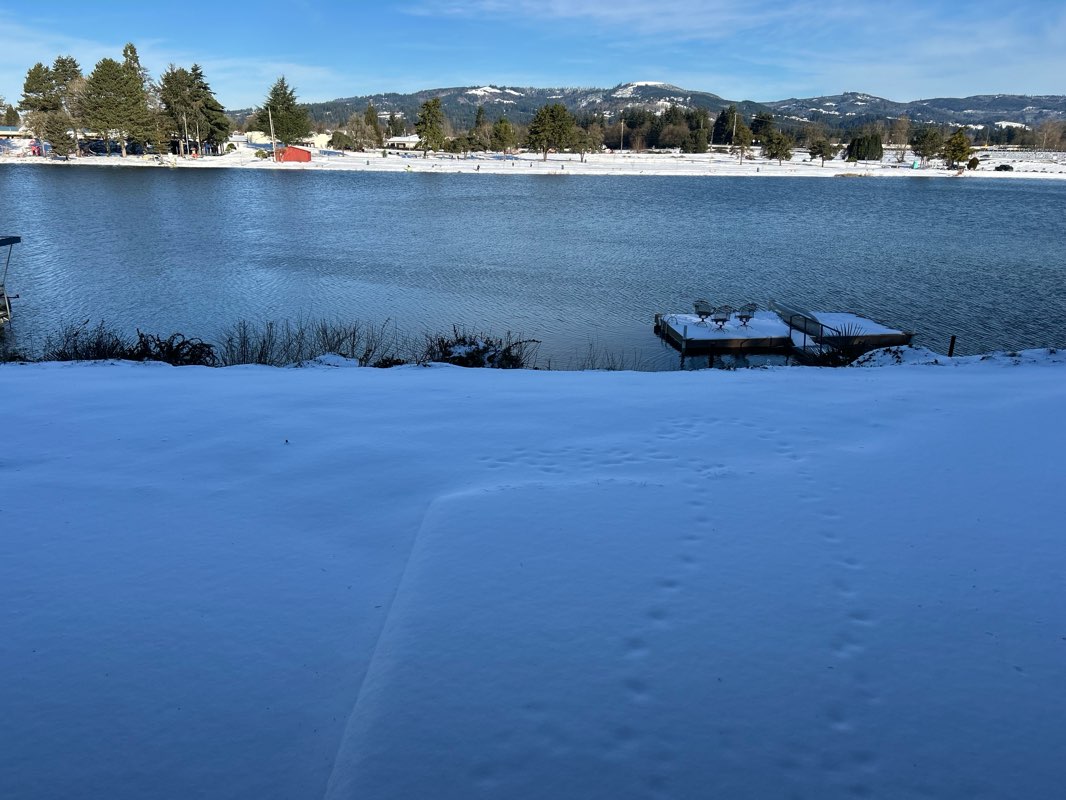 walking near me in Horseshoe Lake Park in winter