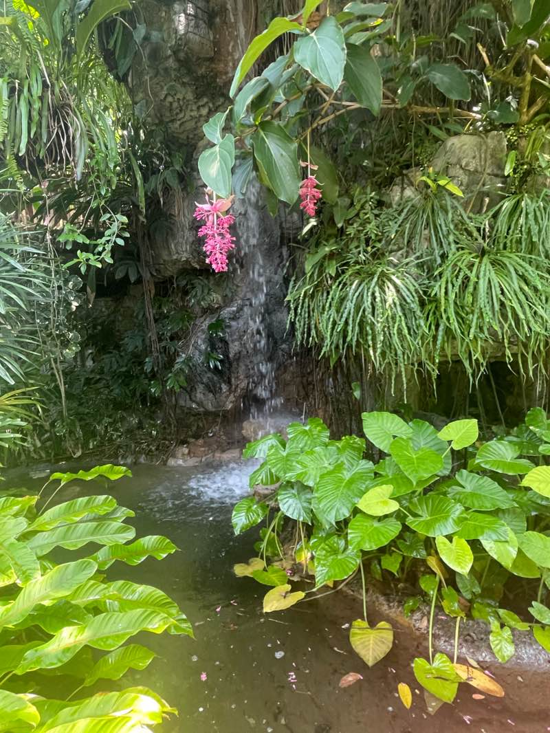 walking near me in Backstopper's Park in winter