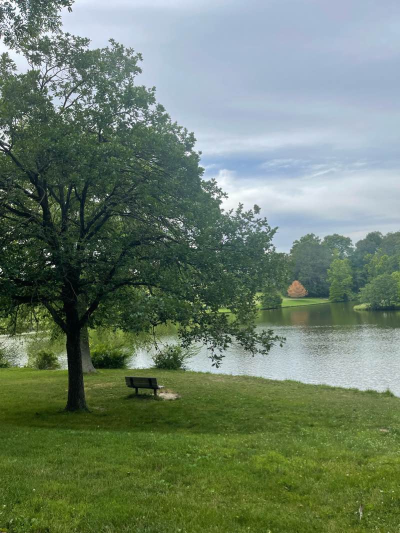 walking near me in Bee Tree County Park in winter