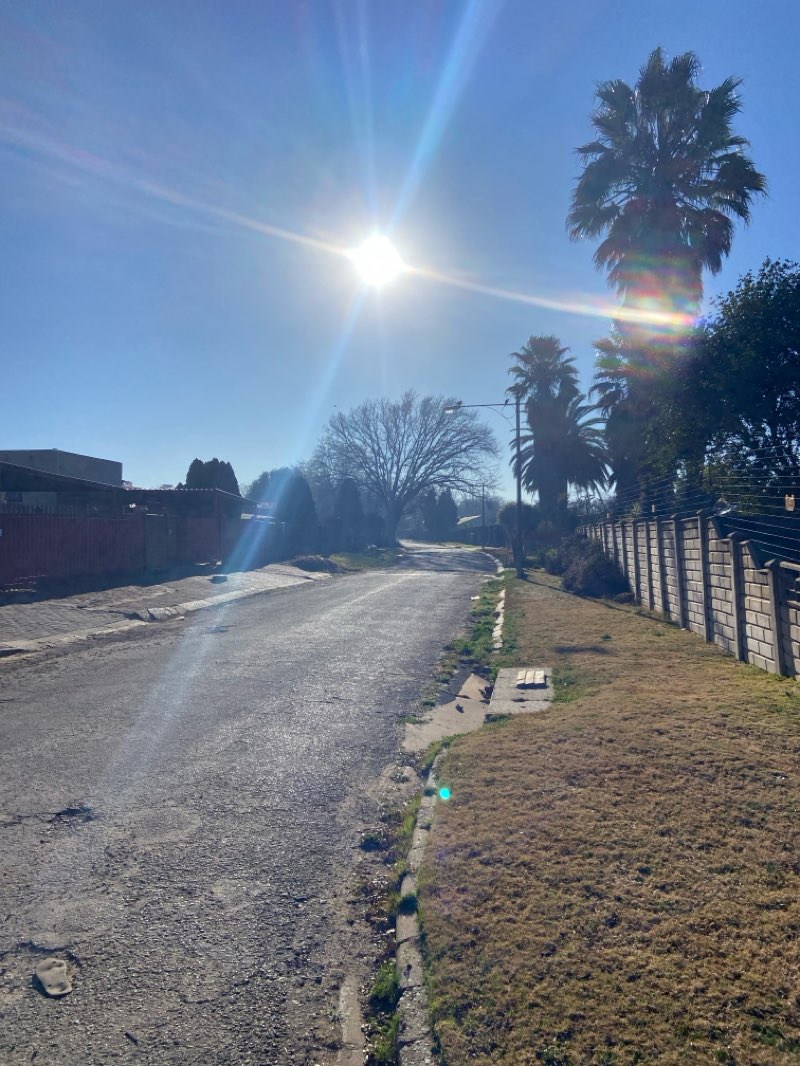 walking near me in Phoenix Park in spring