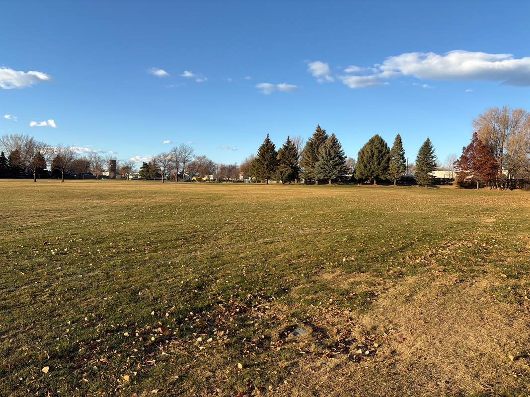 walking near me in Kroh Park in autumn