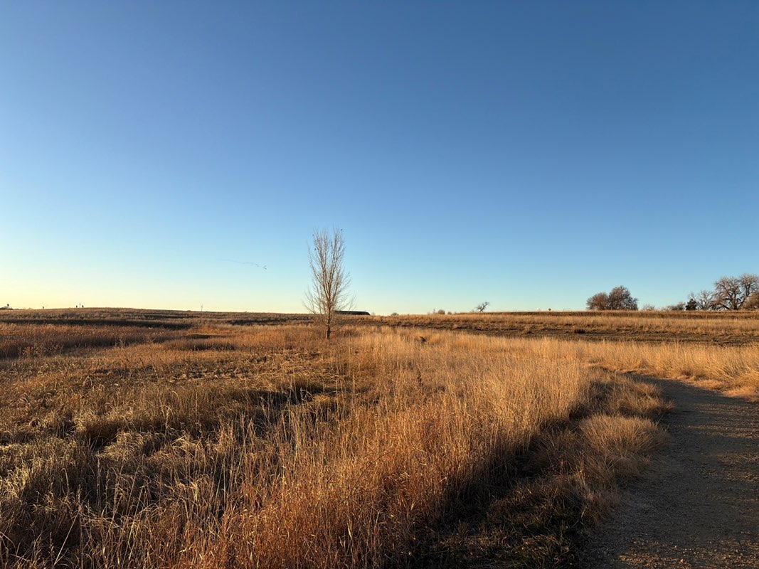 walking near me in Sunset Vista Natural Area in autumn