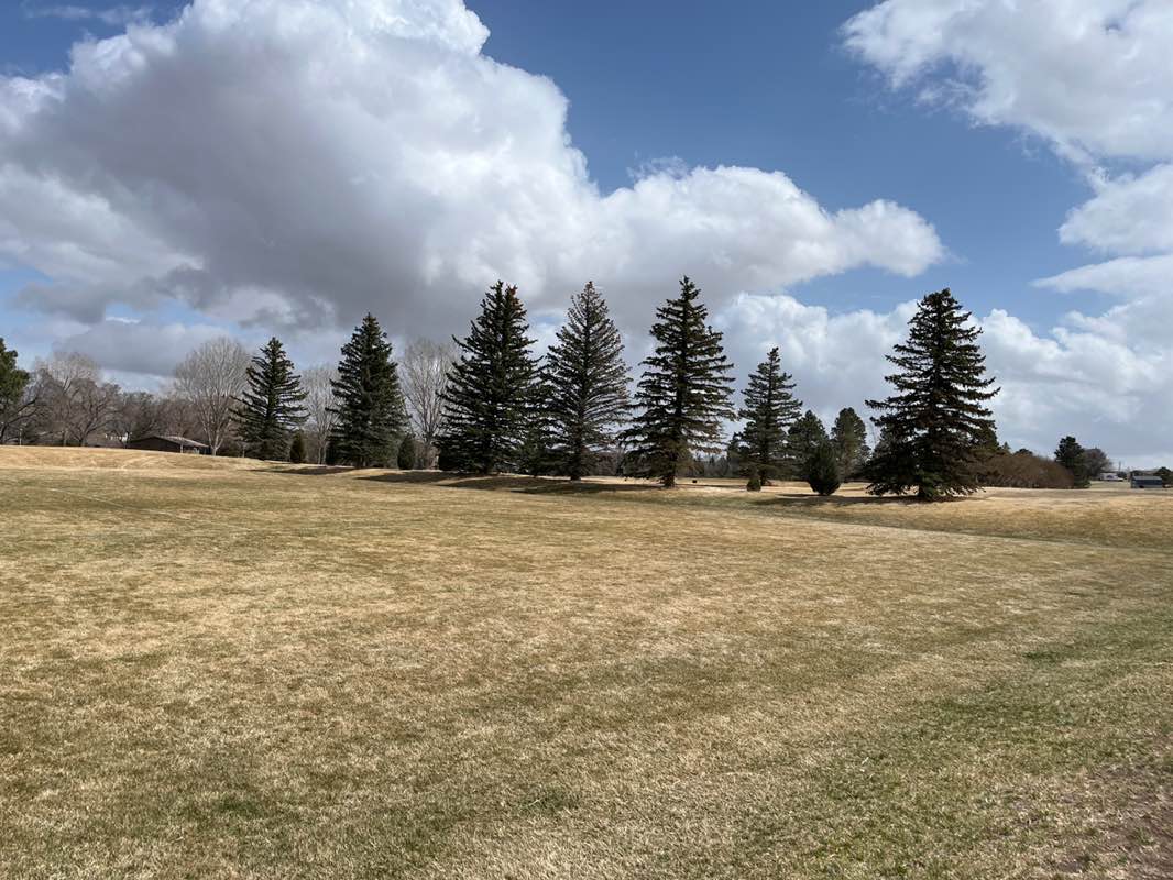 walking near me in Cahill Park in spring