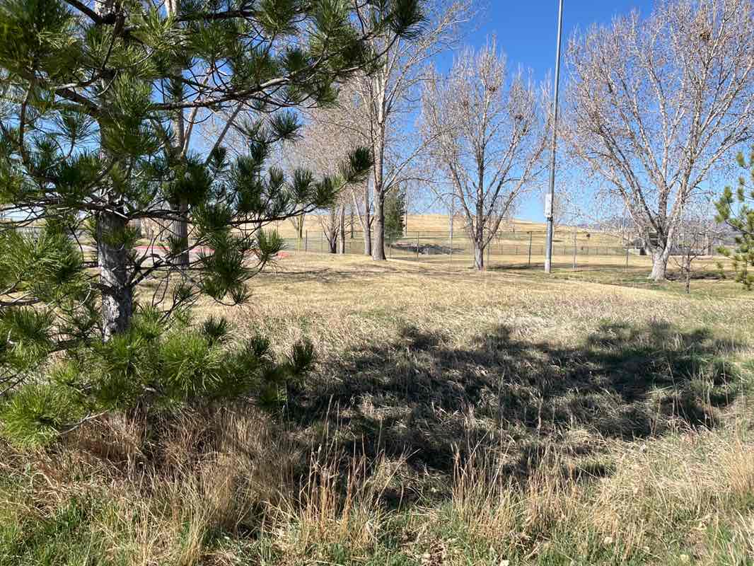 walking near me in Fossil Creek Park in spring