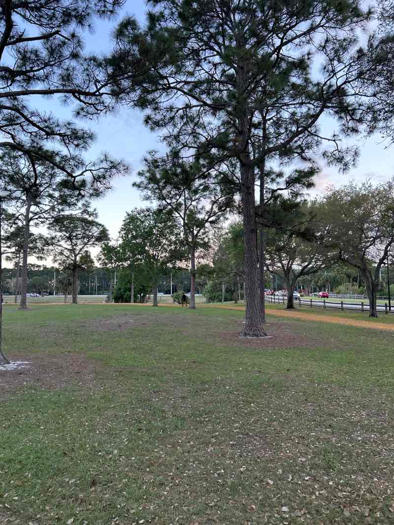 walking near me in Okeeheelee Park in spring
