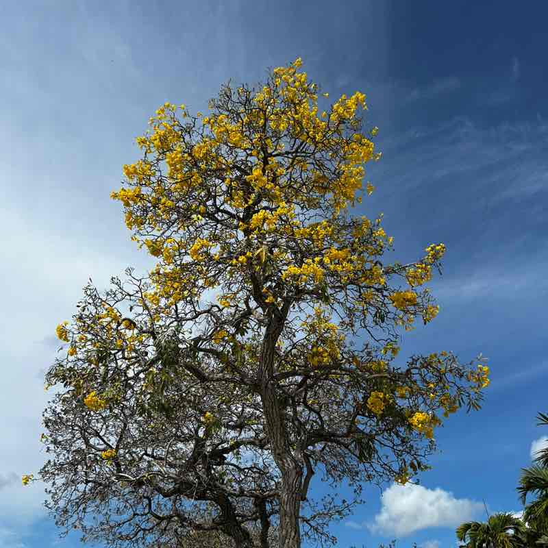 Walking Puctures Yuri post image