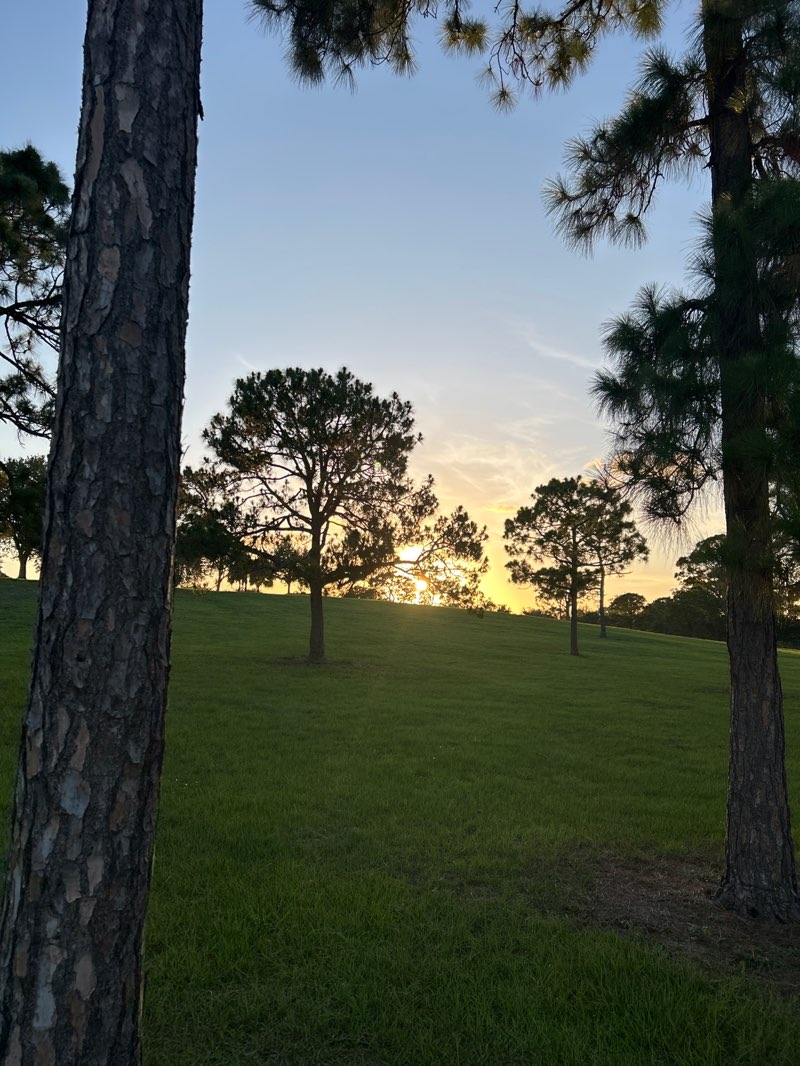 walking near me in Okeeheelee Park in summer