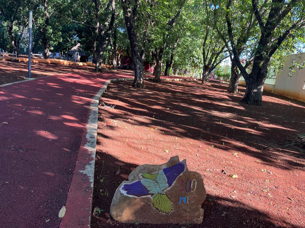 walking near me in Parque Ecológico Ximbal in winter