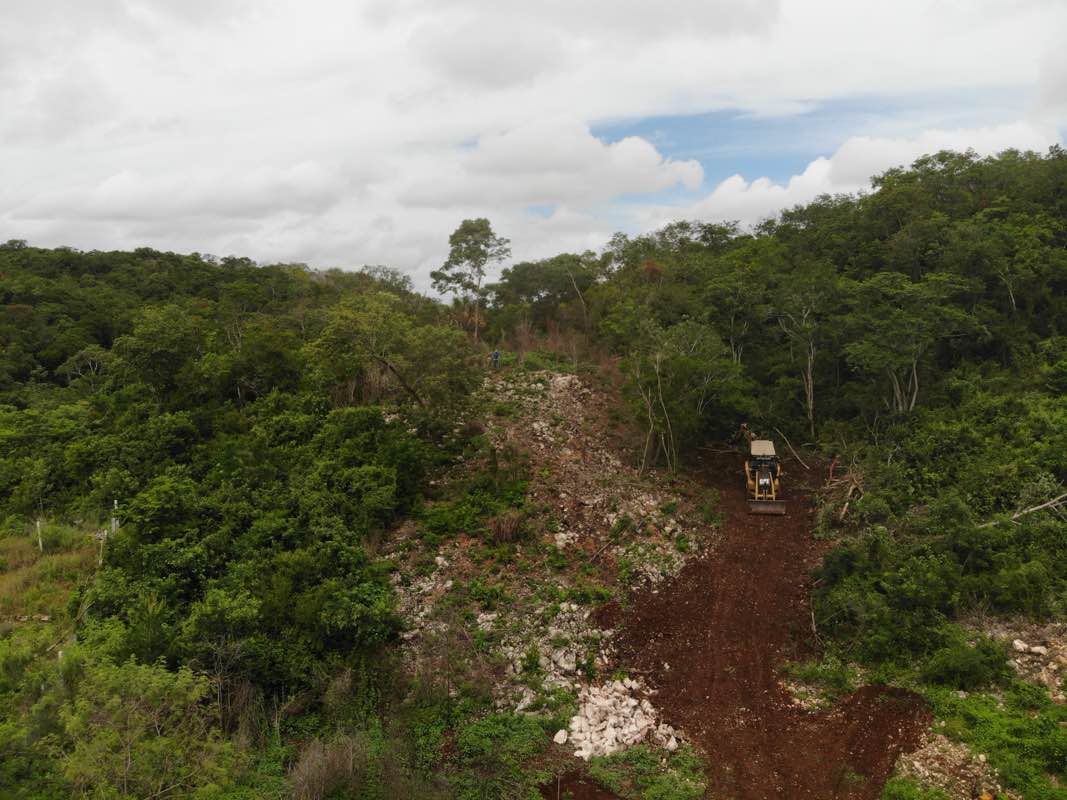 walking near me in Plaza Obelisco a los Marinos in autumn