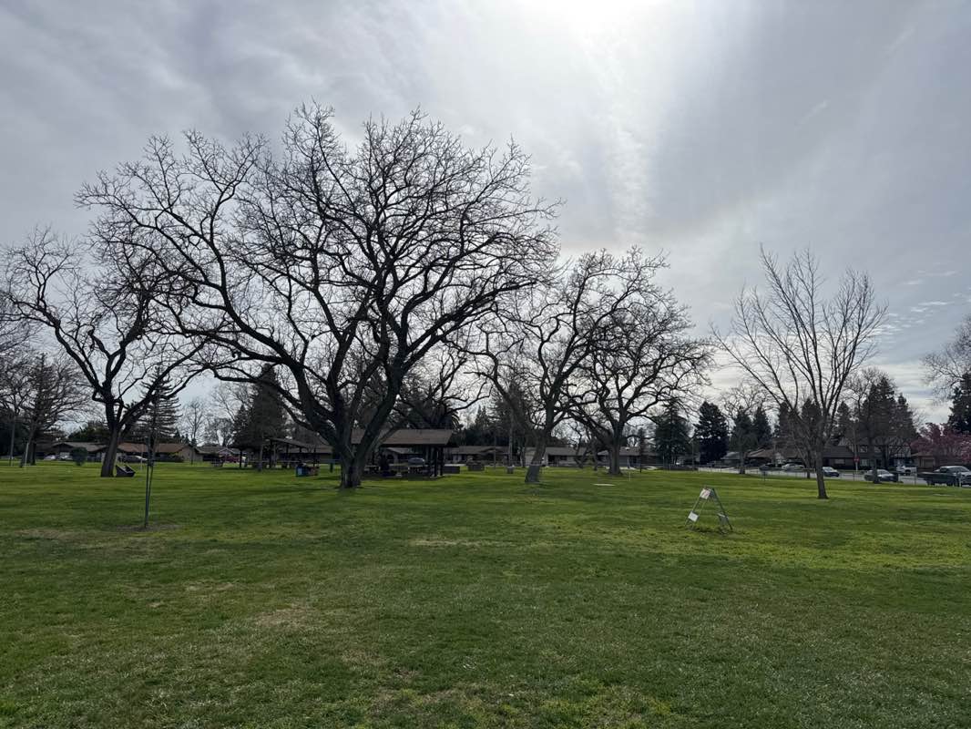 walking near me in John Ferns Park in winter