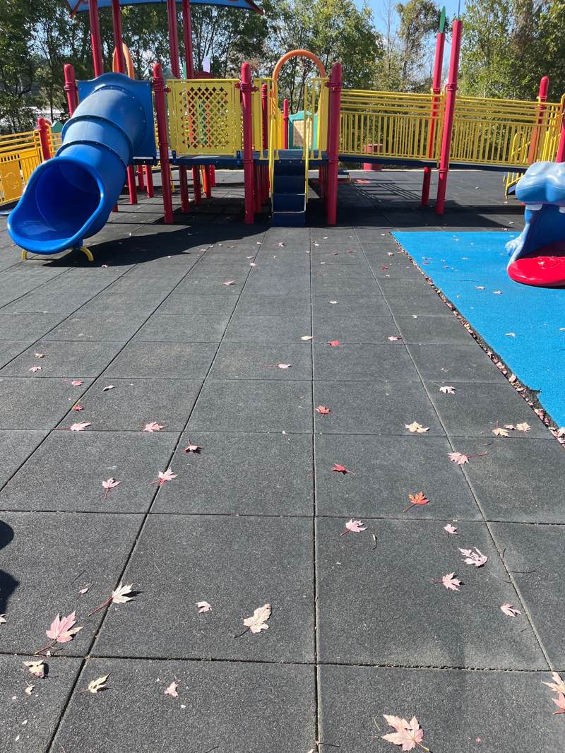 walking near me in North Park in autumn