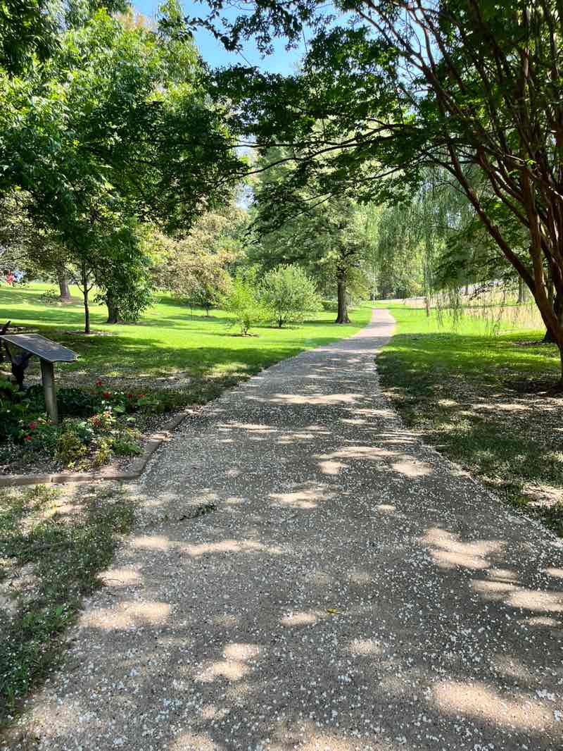 walking near me in Okeena Park in summer