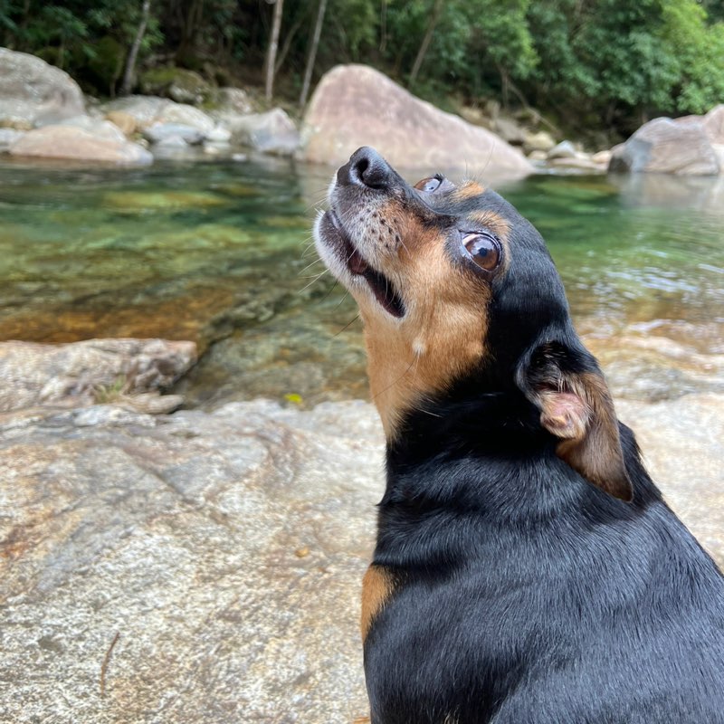 Stefany Alves profile