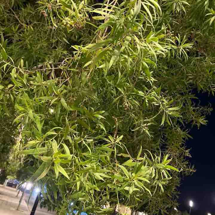 Hakeem ☕️🏃🏻 post 1