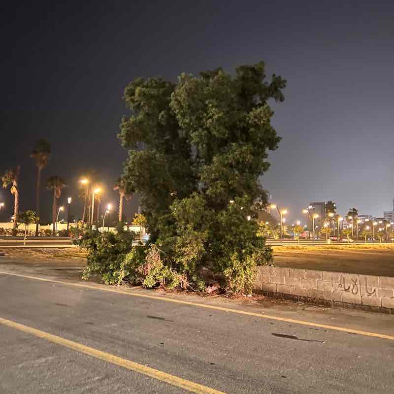 Hakeem ☕️🏃🏻 post 1