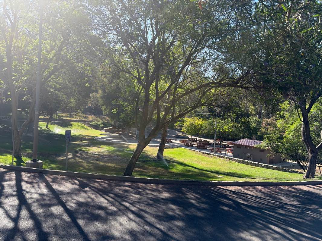 walking near me in Elysian Park in summer