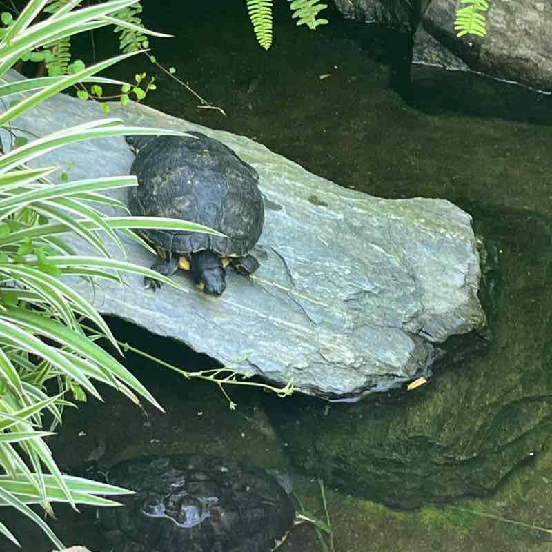 Harnaś🇵🇱 post 3