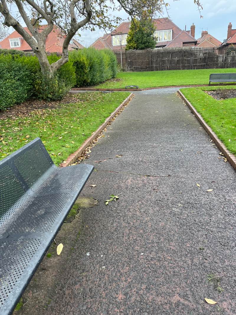 walking near me in Margaret Thompson Park in winter