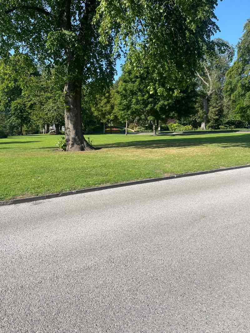 walking near me in Mowbray Park in summer