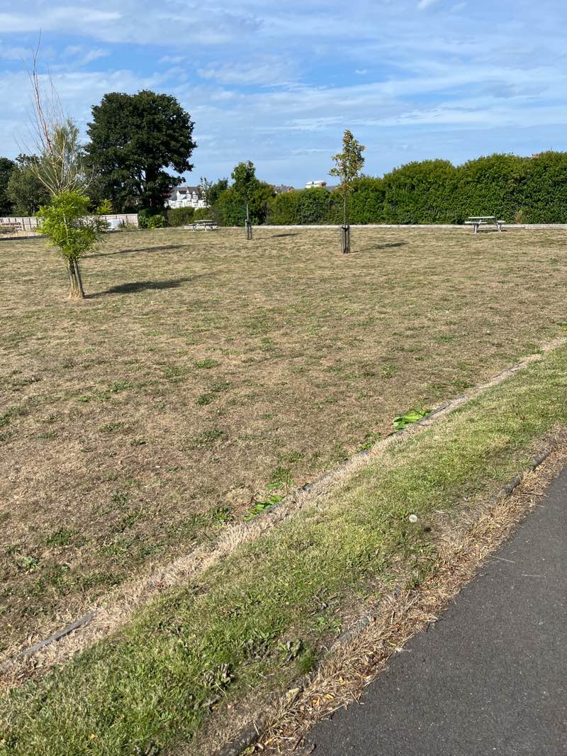 walking near me in Barley Mow Park in autumn