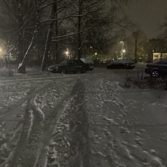 ходьба для хорошего настроения Жанна post image