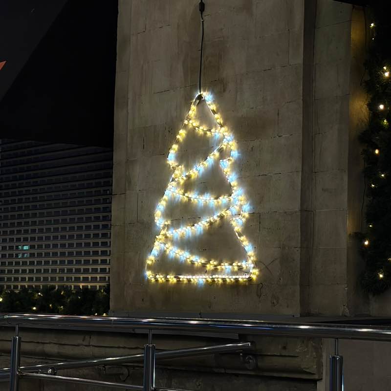 Polina ☃️🎄 post 3