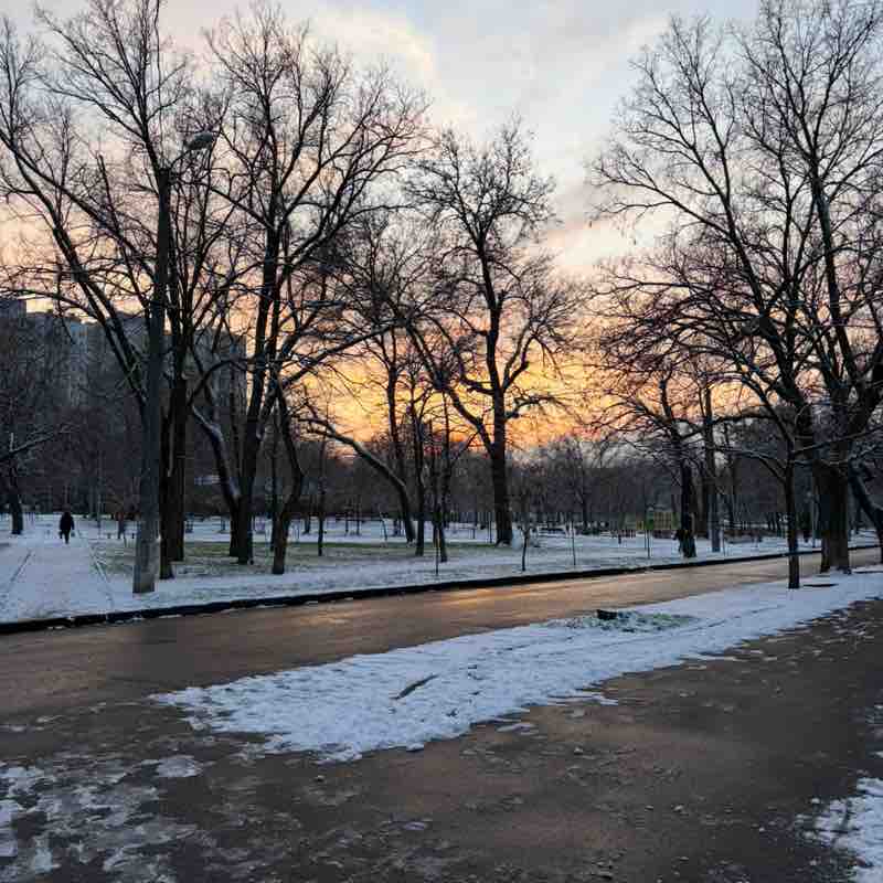 Polina ☃️🎄 post 2