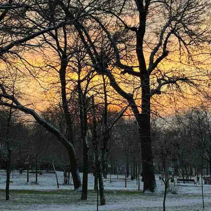 Polina ☃️🎄 post 3