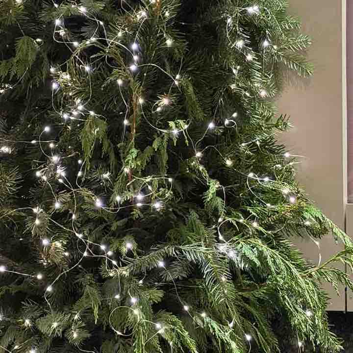 Polina ☃️🎄 post 2