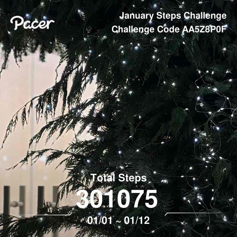 Polina ☃️🎄 post 1