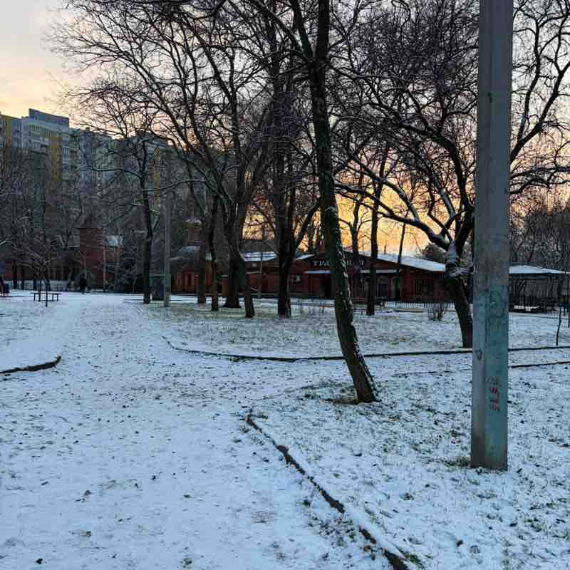 Polina ☃️🎄 post 1