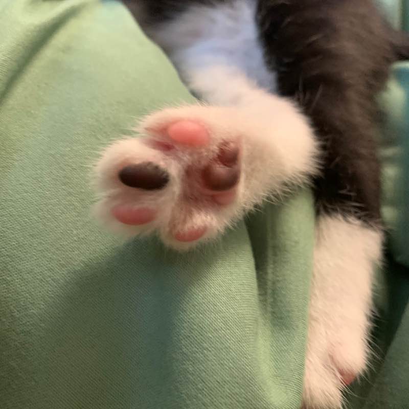 Маруся и Наська Маруся и Наська post image