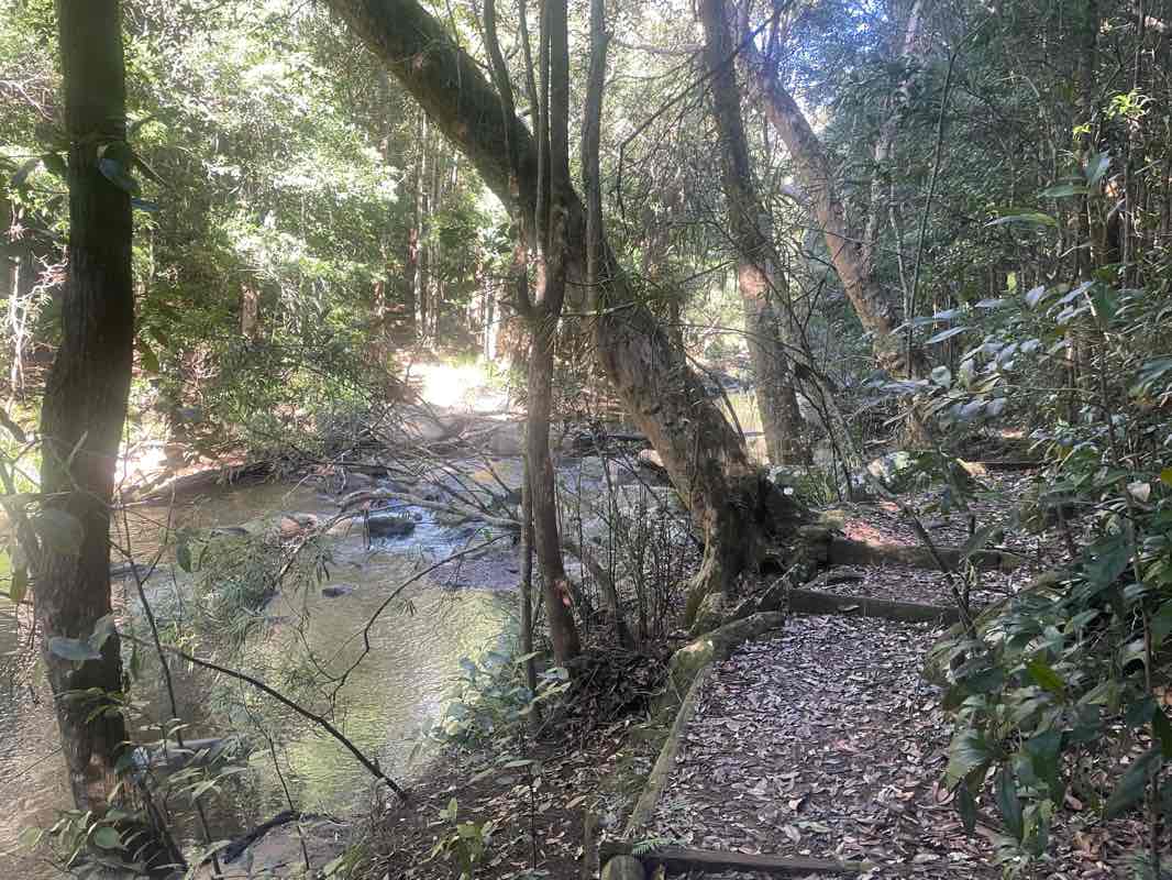 walking near me in Royal National Park in winter