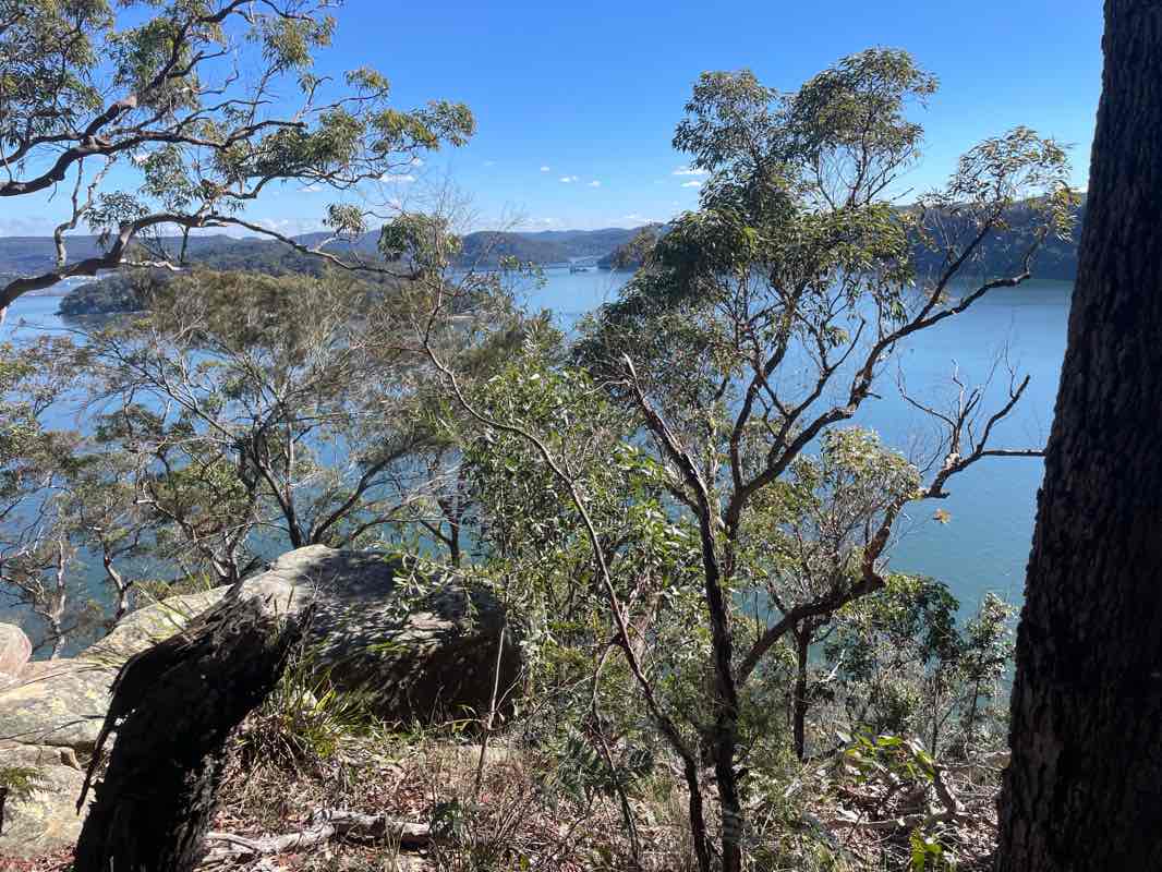 walking near me in Brisbane Water National Park in winter