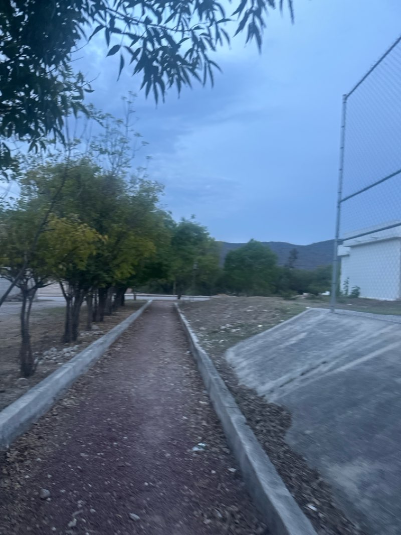 walking near me in Parque Publico in spring