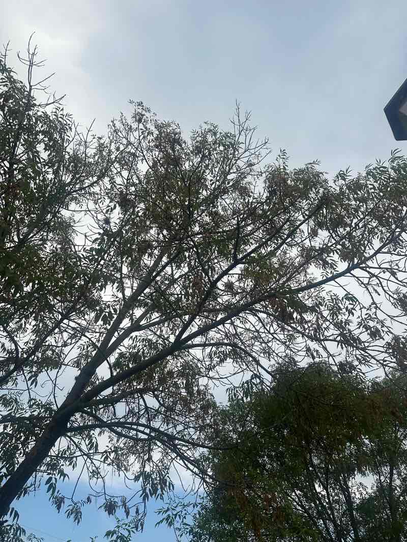 walking near me in Parque Publico in summer