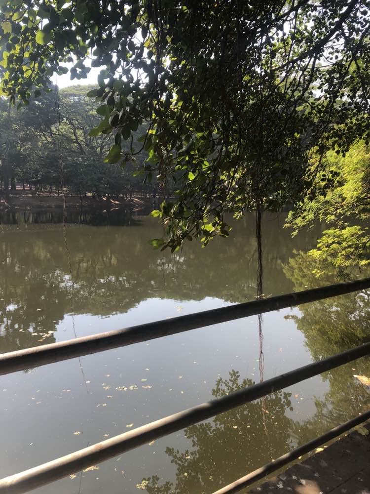 walking near me in Dhanmondi 32 no. Lake Park in winter