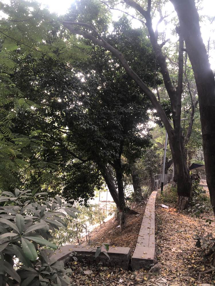 walking near me in Dhanmondi 32 no. Lake Park in winter