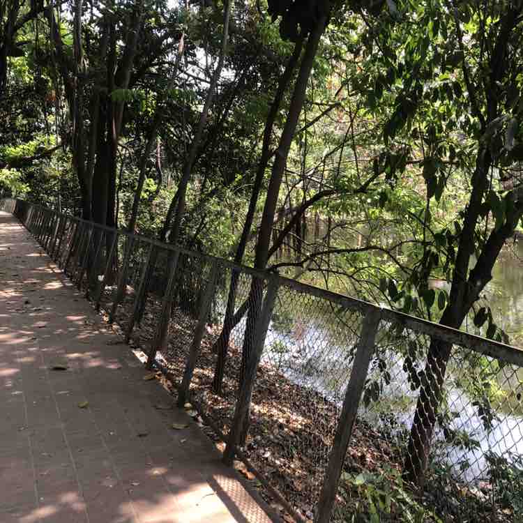 yousuf 🇧🇩 post 1