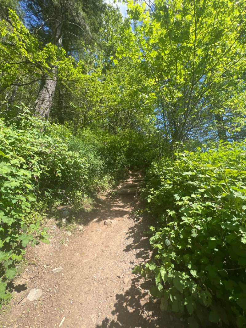 walking near me in Sumas Mountain Regional Park in spring