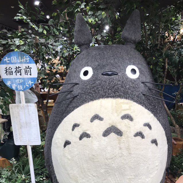 高野　雅道 profile