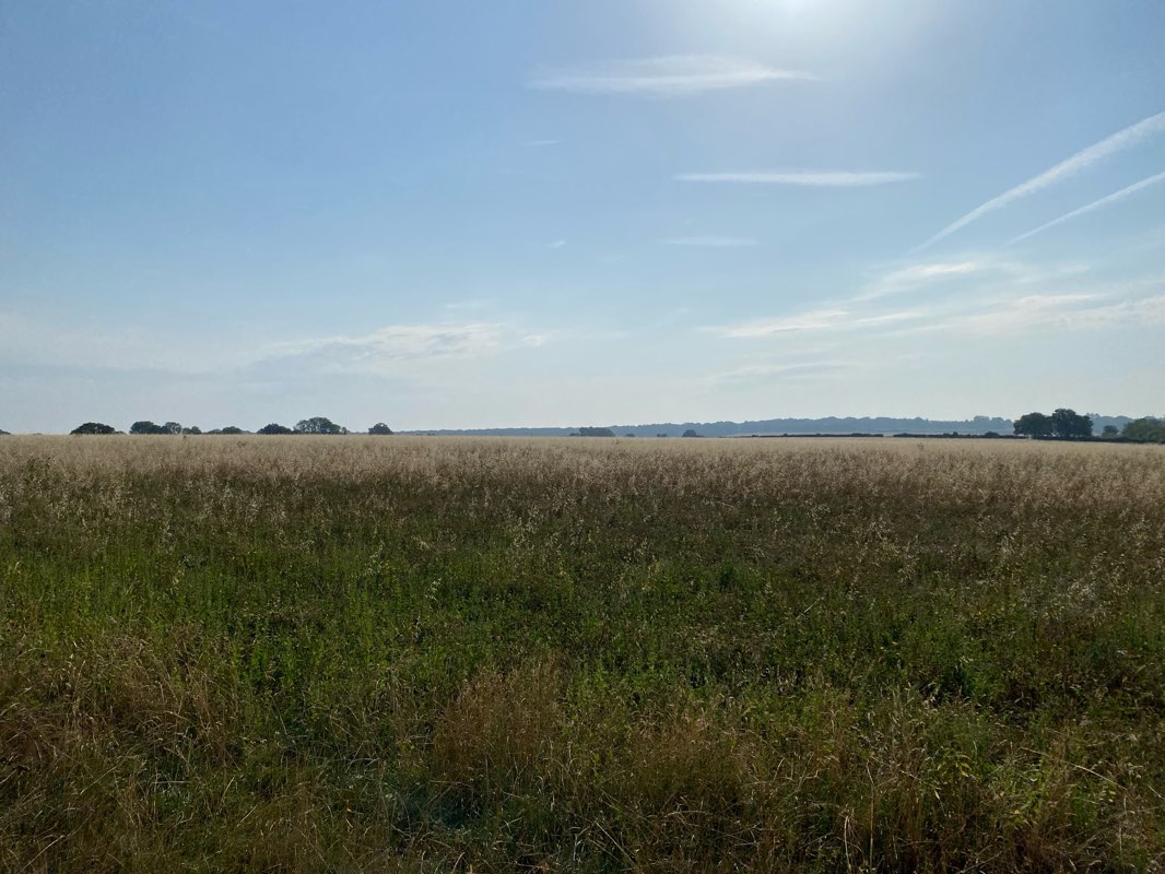 walking near me in The Moor in autumn