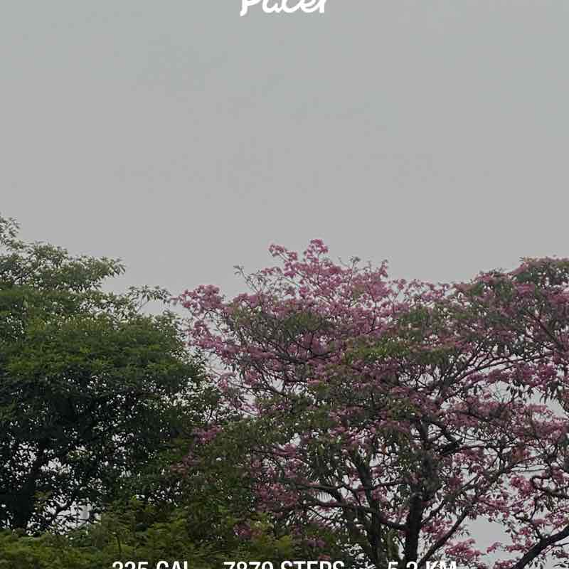 LAILATUL AIMI BINTI ABDUL RAHMAN post 1